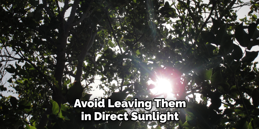 Avoid Leaving Them in Direct Sunlight