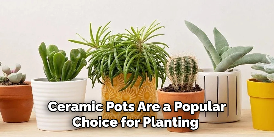 Ceramic Pots Are a Popular Choice for Planting 