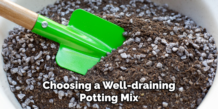 Choosing a Well-draining Potting Mix