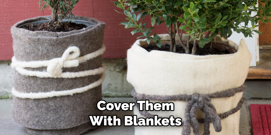 Cover Them With Blankets