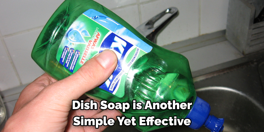 Dish Soap is Another Simple Yet Effective