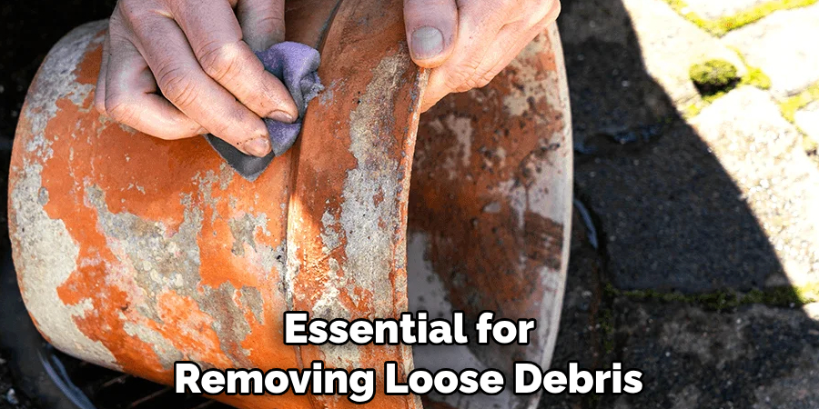 Essential for Removing Loose Debris