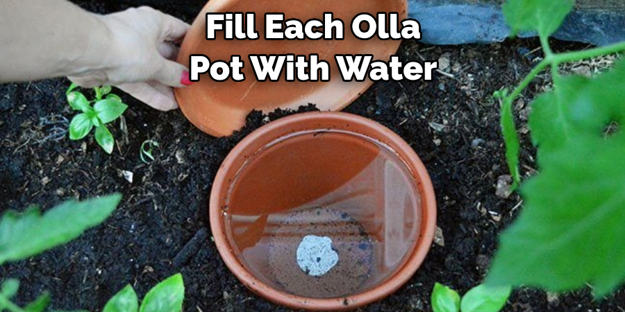 Fill Each Olla Pot With Water