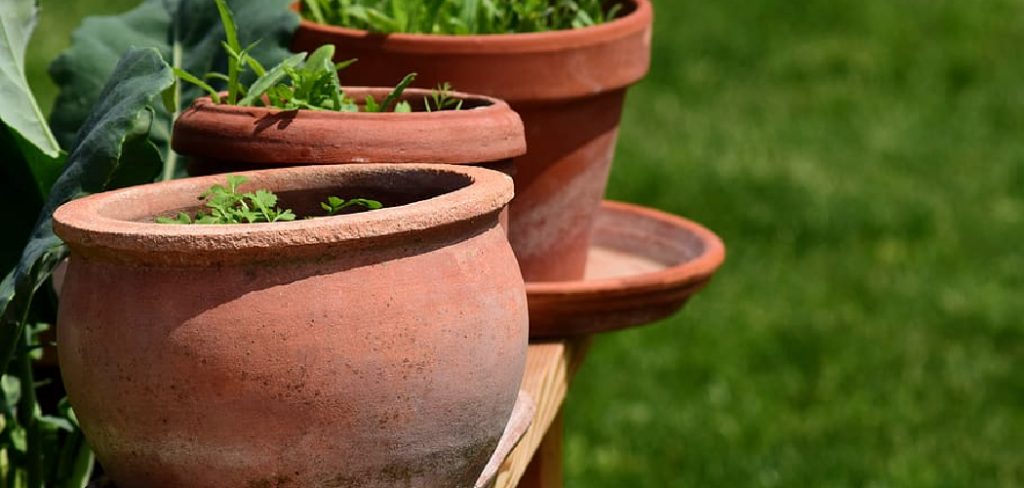 How to Cut a Clay Flower Pot