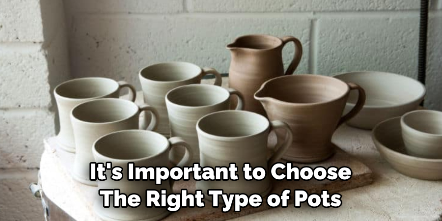 It's Important to Choose The Right Type of Pots