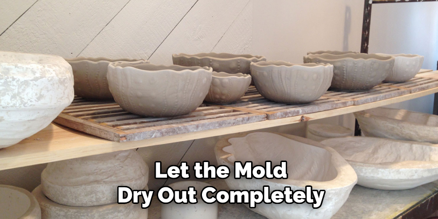 Let the Mold Dry Out Completely