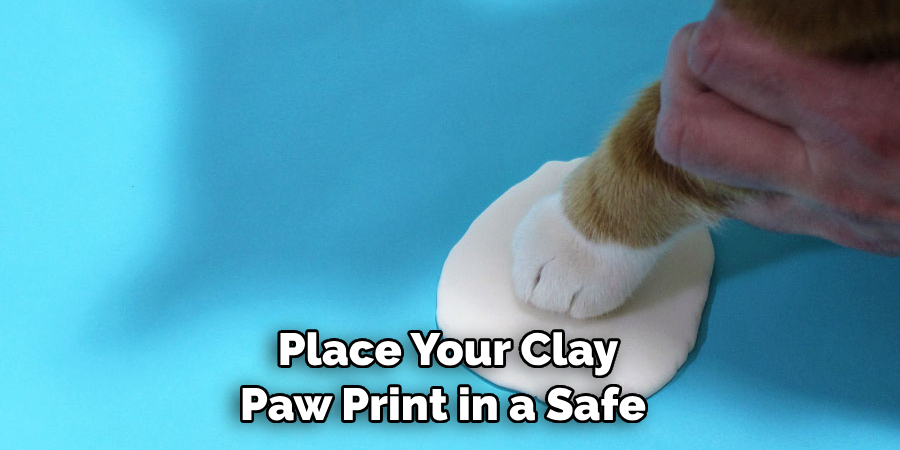 Place Your Clay 
Paw Print in a Safe 