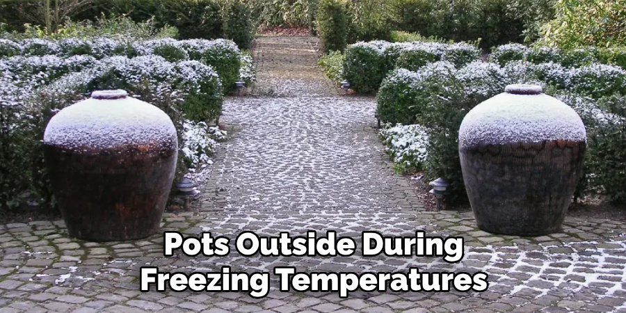 Pots Outside During Freezing Temperatures