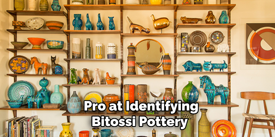  Pro at Identifying Bitossi Pottery