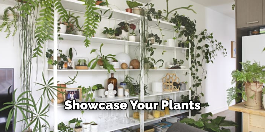 Showcase Your Plants