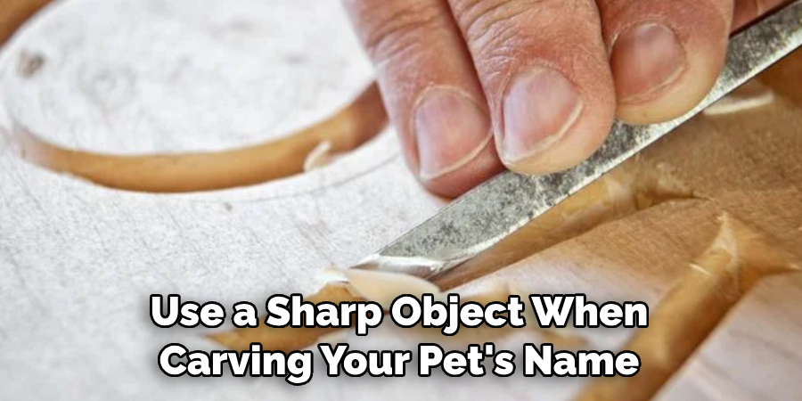 Use a Sharp Object When 
Carving Your Pet's Name