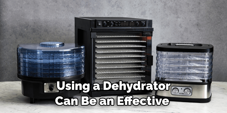 Using a Dehydrator Can Be an Effective 