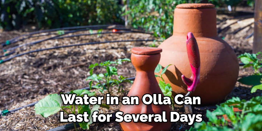 Water in an Olla Can Last for Several Days