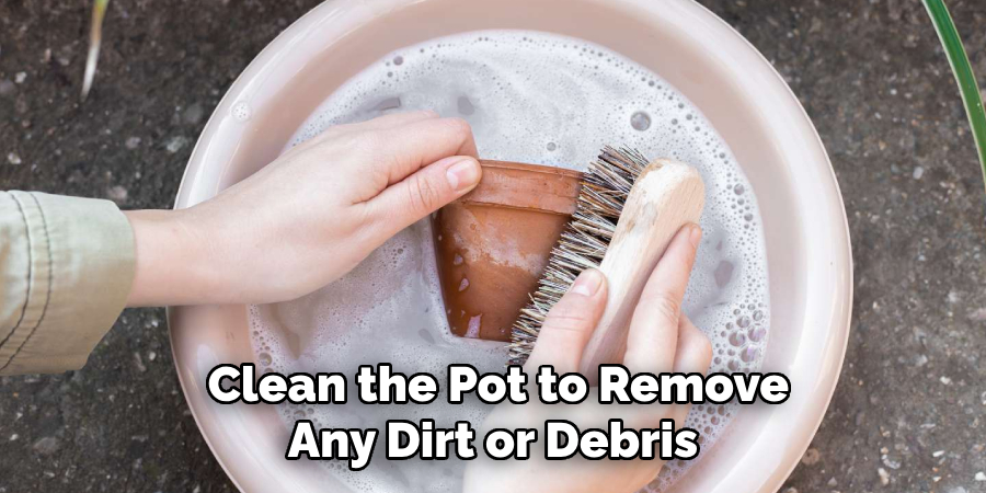 Clean the Pot to Remove Any Dirt or Debris