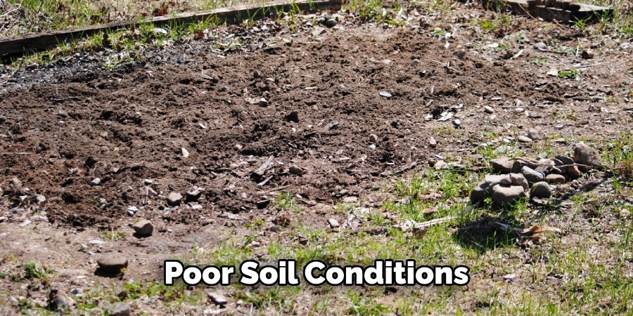 Poor Soil Conditions