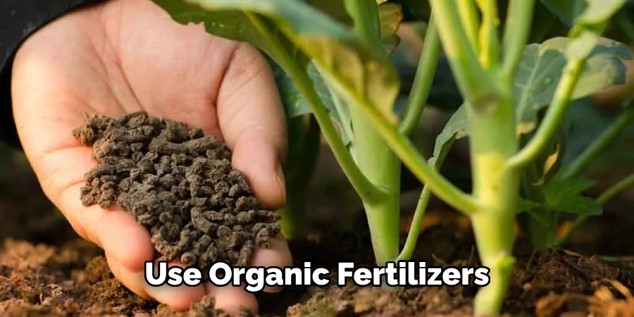 Use Organic Fertilizers 