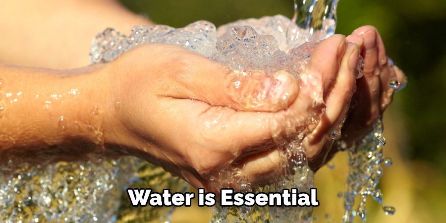 Water is Essential