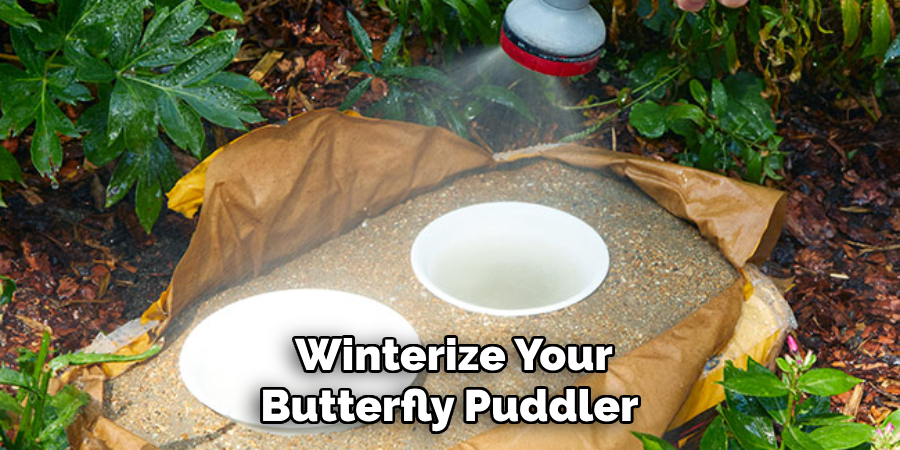 Winterize Your Butterfly Puddler