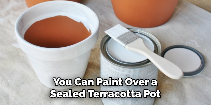 You Can Paint Over a Sealed Terracotta Pot