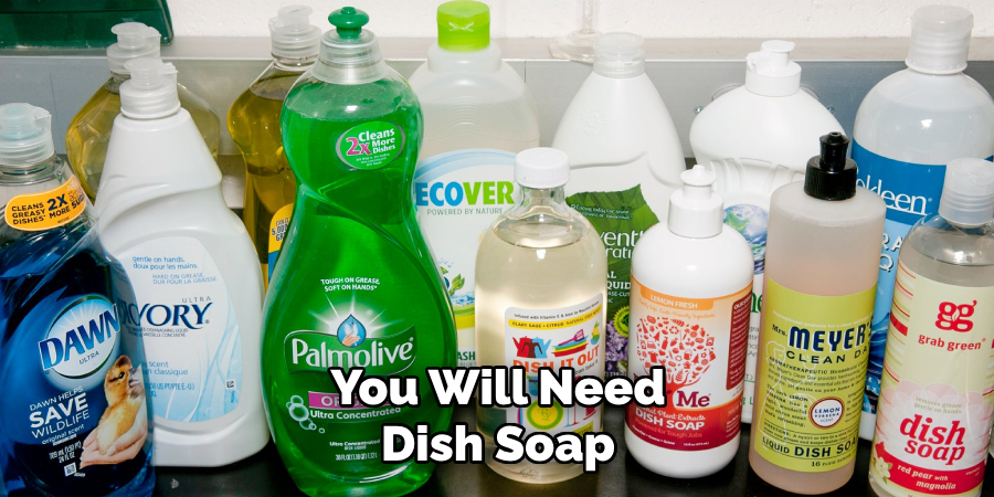 You Will Need Dish Soap