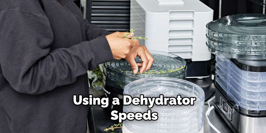 Using a Dehydrator Speeds 