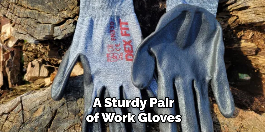 a Sturdy Pair of Work Gloves