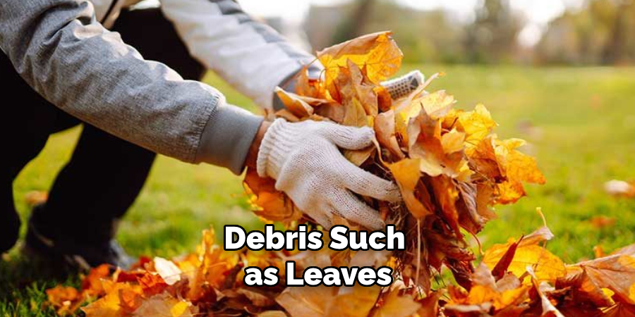 Debris Such as Leaves