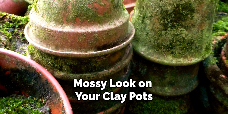 Mossy Look on Your Clay Pots