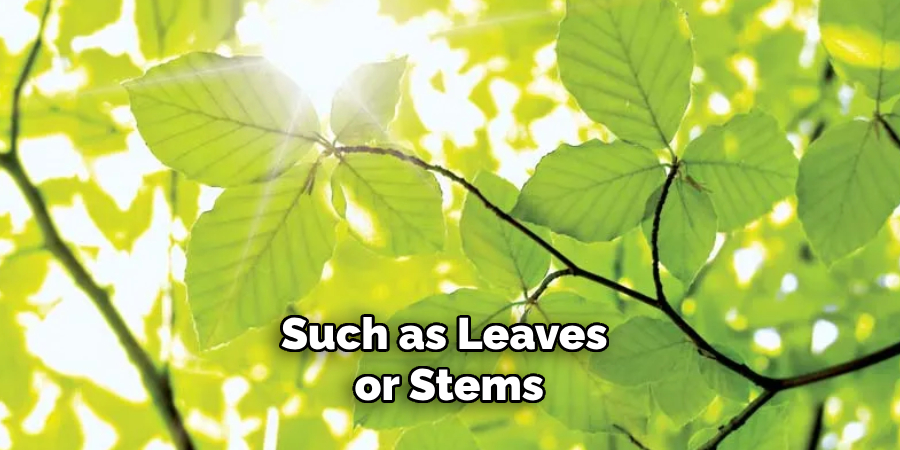 Such as Leaves or Stems