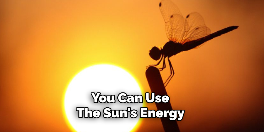 You Can Use the Sun's Energy 