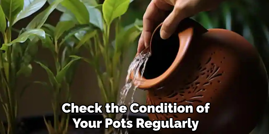 Check the Condition of Your Pots Regularly