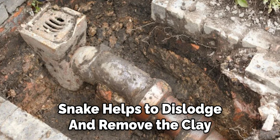 Snake Helps to Dislodge And Remove the Clay