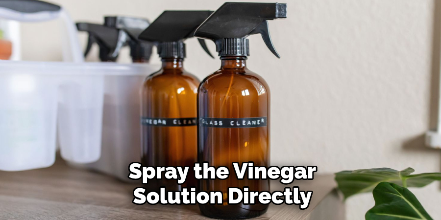 Spray the Vinegar Solution Directly