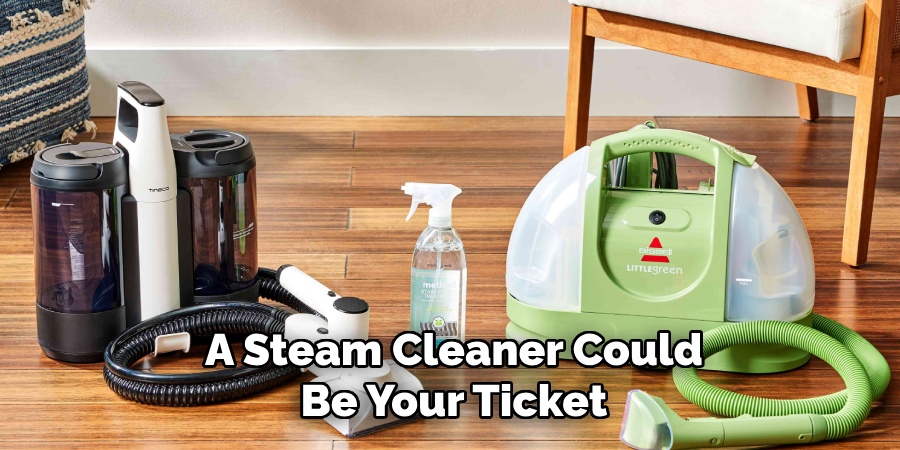 A Steam Cleaner Could Be Your Ticket