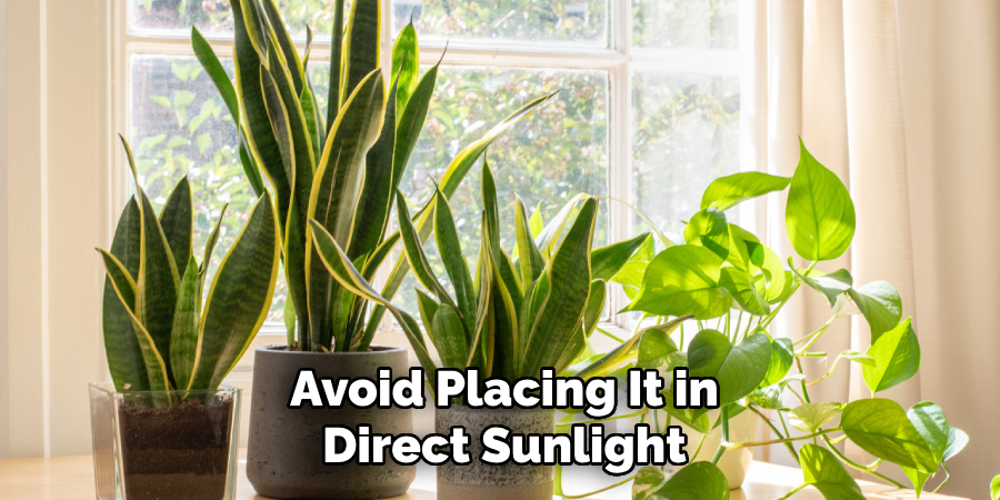 Avoid Placing It in Direct Sunlight