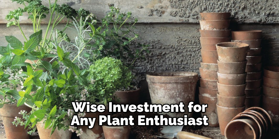 Wise Investment for Any Plant Enthusiast