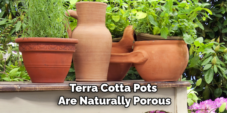 Terra Cotta Pots 
Are Naturally Porous