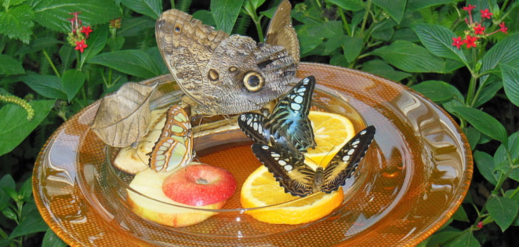 How to Make a Butterfly Puddler