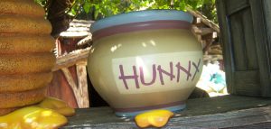 How to Make a Honey Pot | 8 Effective Steps (2026)