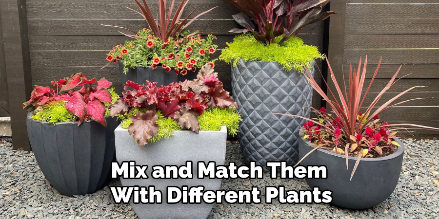 Mix and Match Them With Different Plants