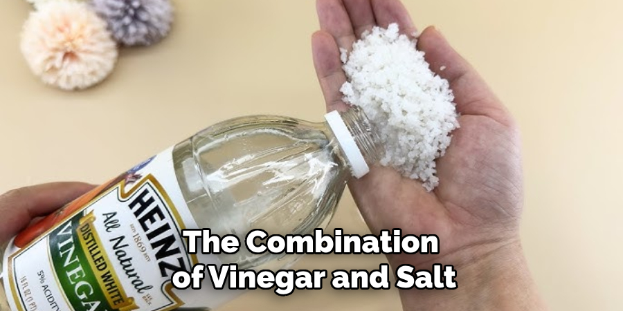 The Combination of Vinegar and Salt